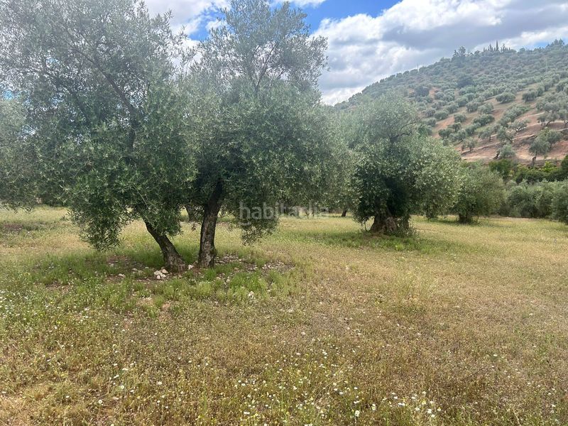 Foto 83c11bed-5b70-4d3e-838b-95e66687aa03. Finca rústica a Calicasas
