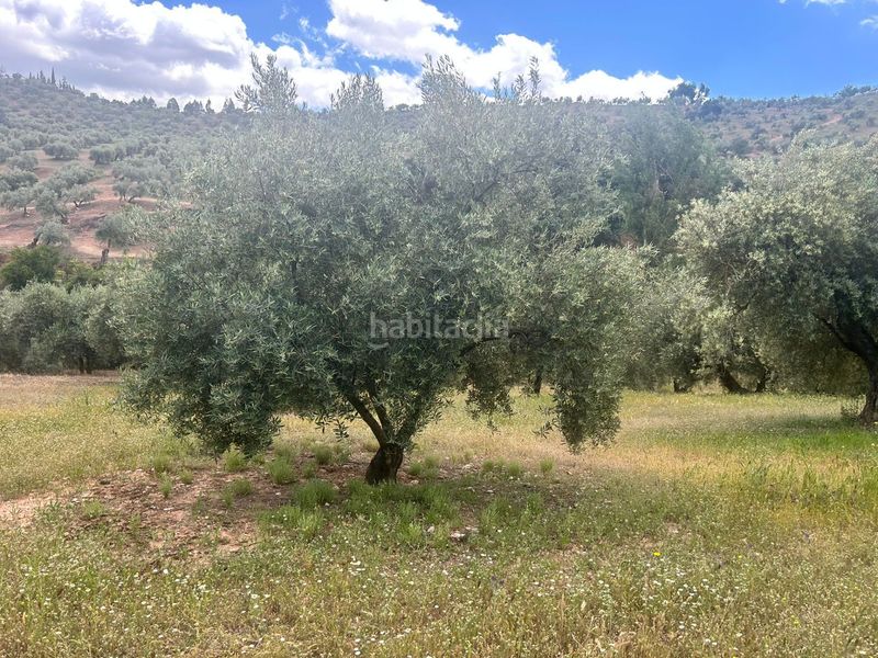 Foto d51d539c-3a42-40b9-a956-c831721eb153. Finca rústica a Calicasas