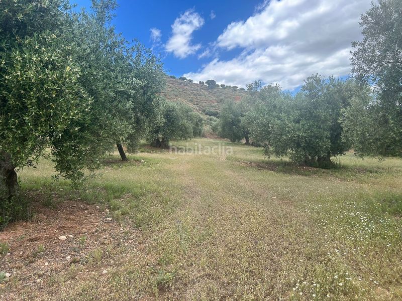 Foto e6c61e84-4244-4fd0-9caa-8588eca5f126. Finca rústica a Calicasas