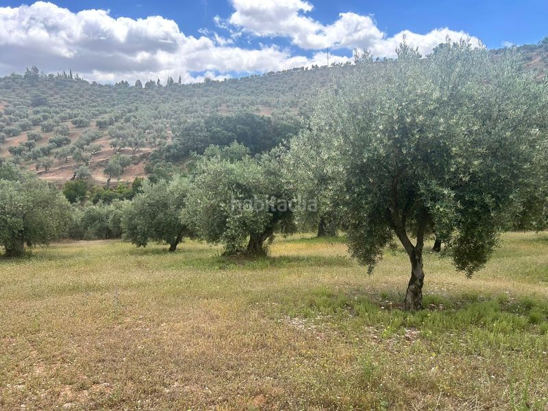 Foto ed143577-347e-4036-81b2-2e47c8c946a6. Finca rústica a Calicasas