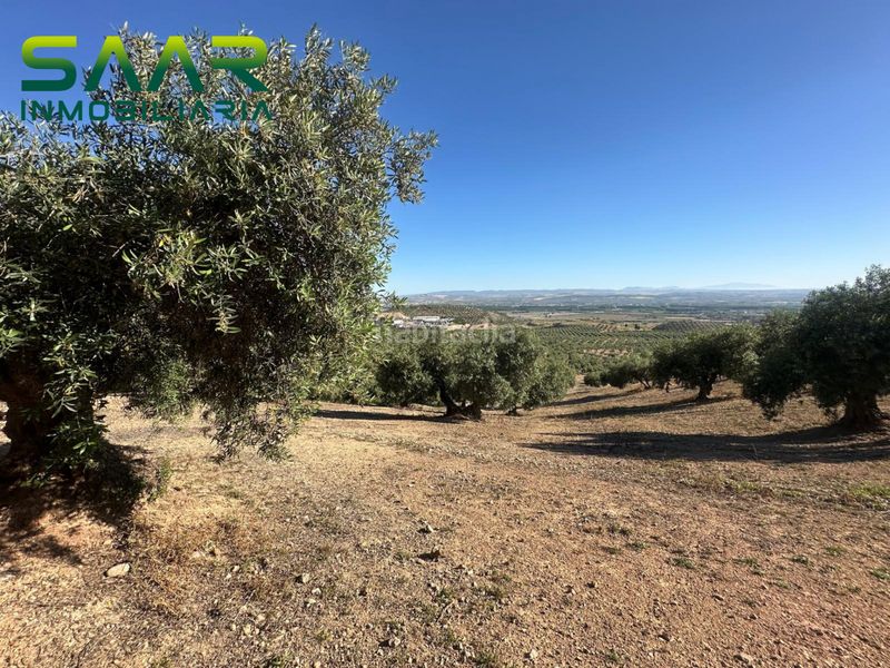 Foto 80a9ffd8-a267-4882-8061-aa091a2c442a. Finca rústica a Atarfe