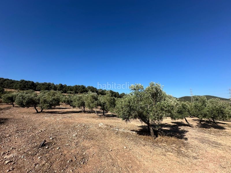 Foto 9cf2a854-a404-4c10-bdd3-c94f36d41b39. Finca rústica a Atarfe