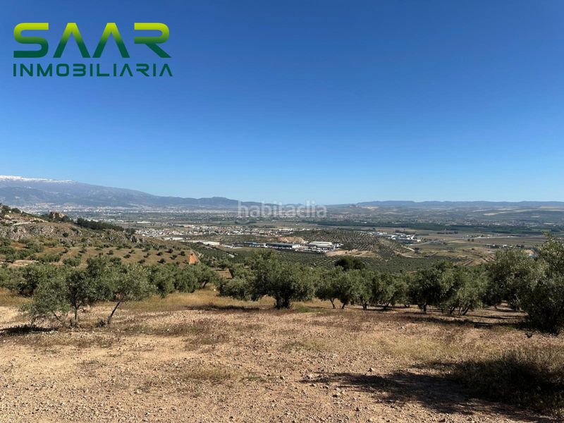 Foto e16d875e-ffeb-4025-9746-adc249a179d0. Finca rústica a Atarfe