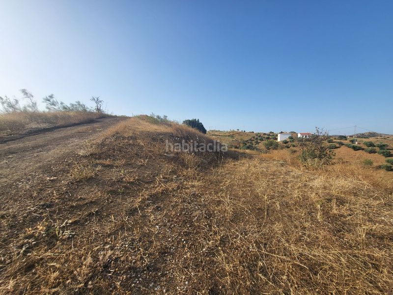 Foto 74e48a7a-c399-4d6e-adaf-560015a0b569. Finca rústica a Campanillas Málaga