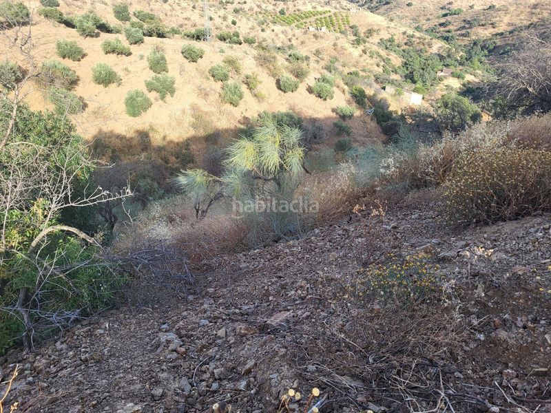 Foto 9f8e6e85-6172-4d1a-ae7b-ef88234d4acc. Finca rústica a Campanillas Málaga