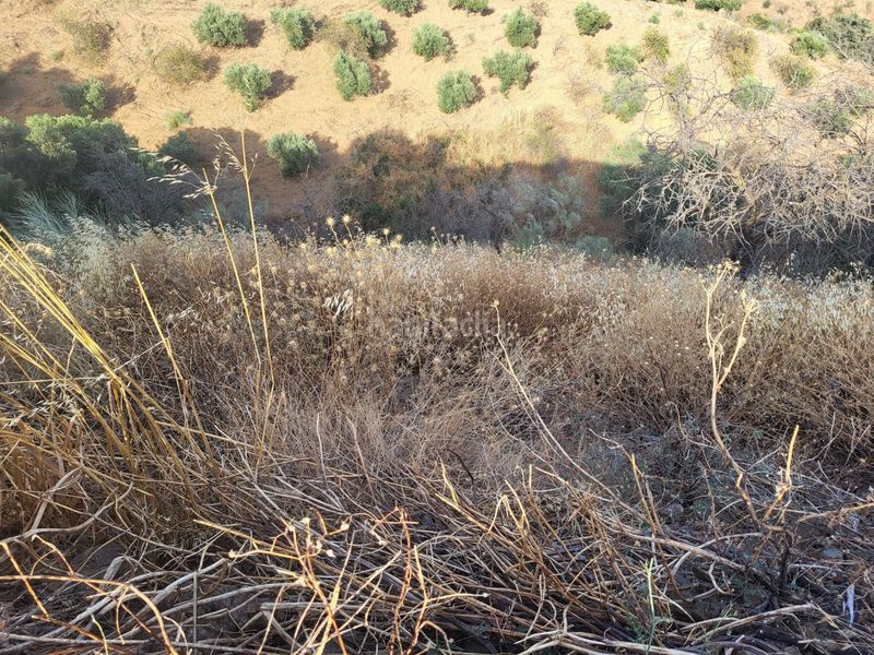 Foto ae0b238d-17b0-4f0a-8c76-6a1f664f07e2. Finca rústica a Campanillas Málaga