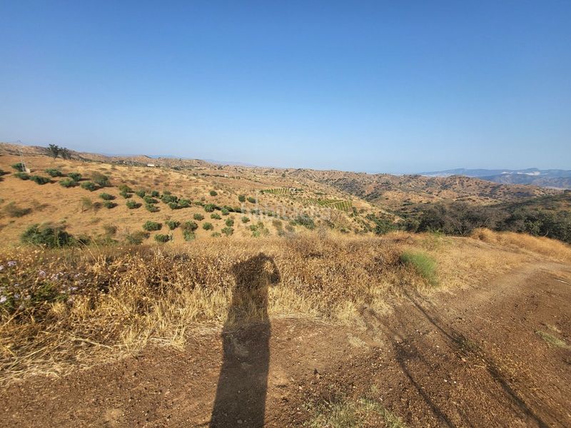 Foto fa9b2d76-97e2-4516-ba63-0c77e78705d2. Finca rústica a Campanillas Málaga