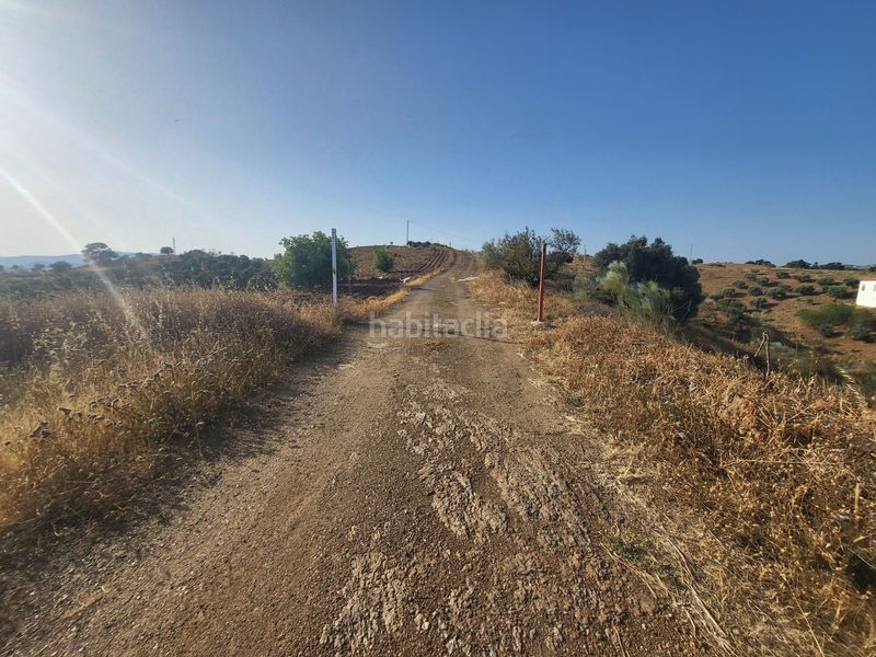 Foto fc154fe4-9a7c-4b06-a700-69dfec309ebc. Finca rústica a Campanillas Málaga