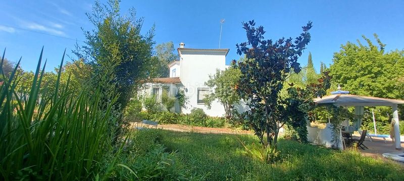 Foto 0163e03e-8a71-4990-9d29-1c3a2b7b559e. Casa amb piscina a Castilblanco de los Arroyos