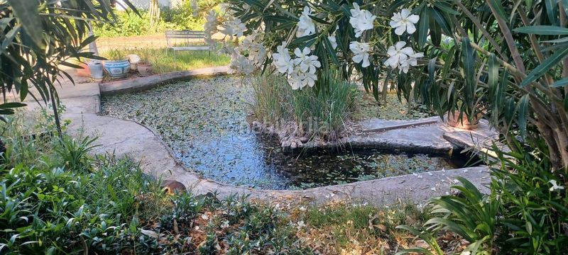 Foto 45c1b277-377a-4c7d-9386-f93fc4c86398. Casa amb piscina a Castilblanco de los Arroyos