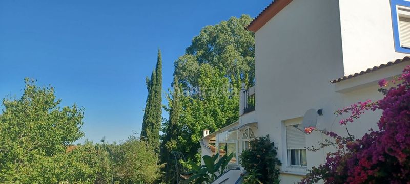 Foto 7b30303f-248b-478b-a8bd-2397c72a8f73. Casa amb piscina a Castilblanco de los Arroyos