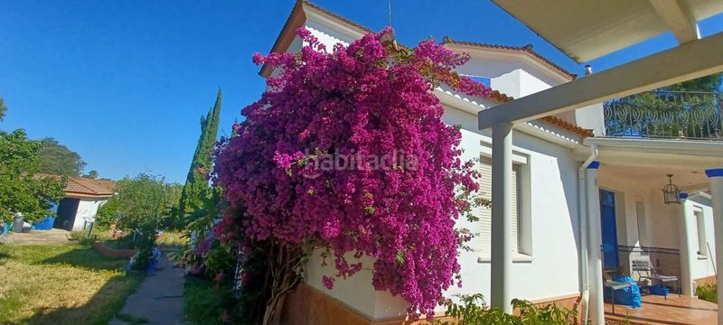 Foto 7c68e1b1-0af9-4338-a441-e13b209fa0a7. Casa amb piscina a Castilblanco de los Arroyos