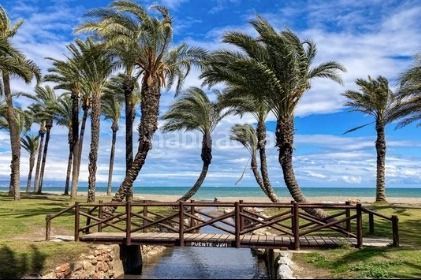 Foto f150edfd-d8c8-48cd-8e21-4ae166d1f7da. Estudi a La Colina Torremolinos