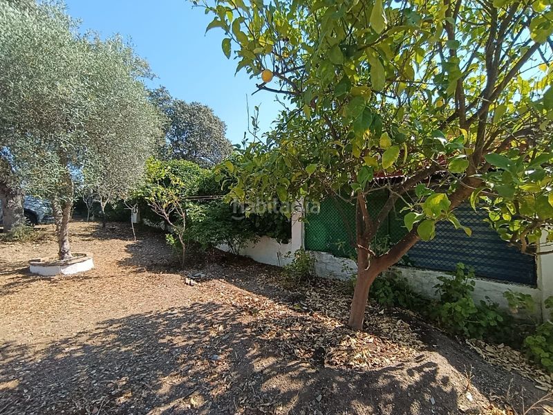 Foto a41a082d-7228-447b-8139-deb86fb46c5e. Casa a Castilblanco de los Arroyos