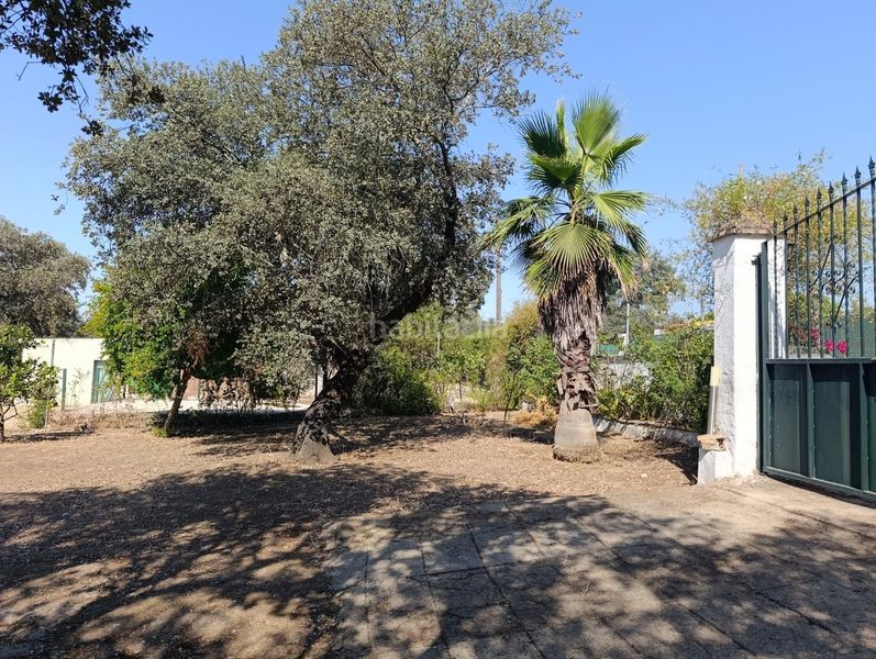 Foto cbbec4c7-bfa2-4ce5-879a-f1e4af3dda7a. Casa a Castilblanco de los Arroyos