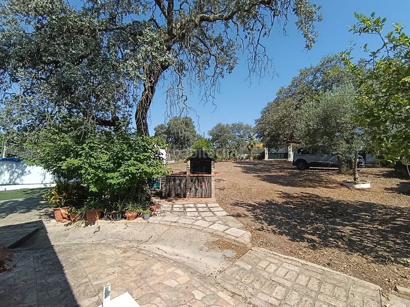 Foto ea1e1209-5375-4c13-8fde-1928f7dd0161. Casa a Castilblanco de los Arroyos