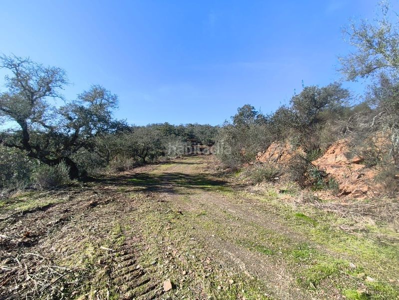 Foto 7b1dabba-affd-4305-9e2d-6b596a7a7d07. Finca rústica a Los Lagos Guillena
