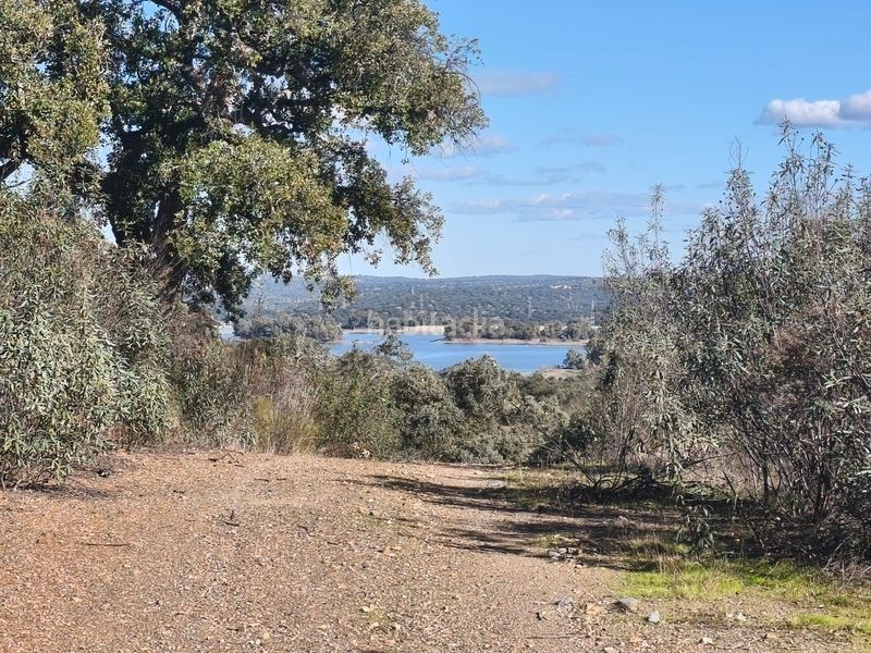 Foto b7a567fa-beff-49b2-afac-d6049548faee. Finca rústica a Los Lagos Guillena