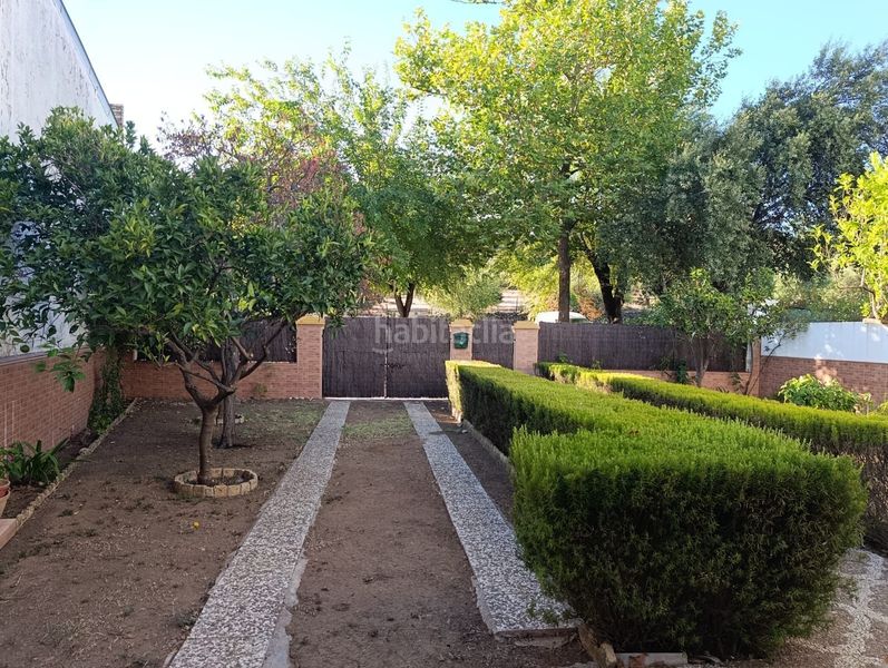 Foto 2ee02ce7-7030-483d-b3d5-eb542a874fe5. Casa adossada a Castilblanco de los Arroyos