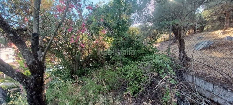 Foto 0a8bc66c-cdb2-4d6d-a980-f5eff56fd31f. Casa a Constantina