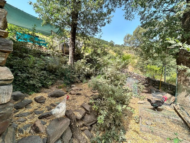 Foto 7a3d93b8-88b1-4591-b438-24aca8a66a07. Casa a Güéjar Sierra
