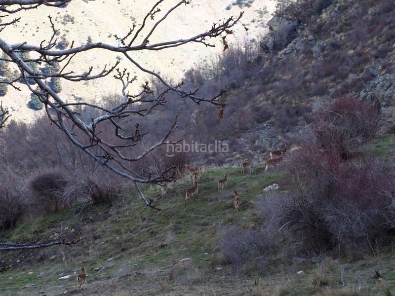 Foto caaa3bcc-1b65-4b12-9ebc-eeb55881df99. Casa a Güéjar Sierra