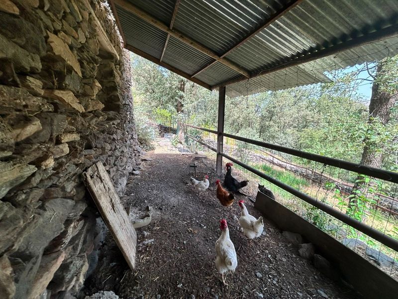 Foto f0ab5479-c24d-4aa6-96ff-deb041b8e064. Casa a Güéjar Sierra