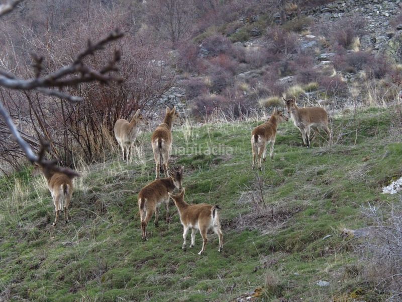 Foto f78e5e9b-01ef-4650-bd70-6131ebcf1bf5. Casa a Güéjar Sierra