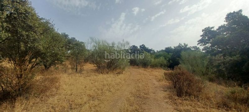 Foto 1036e3ab-0c6a-41b5-b5e2-f0806f4959c6. Terreny residencial a Castillo de las Guardas (El)