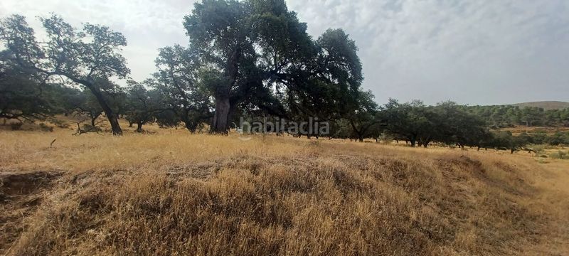 Foto 5215387c-c799-4c6e-9253-404266560067. Terreny residencial a Castillo de las Guardas (El)
