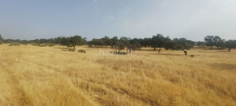 Foto bbc86597-7ea2-47a1-9a74-53e376158978. Terreny residencial a Castillo de las Guardas (El)
