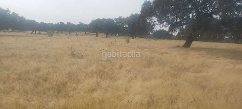 Foto d6791fe4-cebd-4545-8017-956de8a16735. Terreny residencial a Castillo de las Guardas (El)