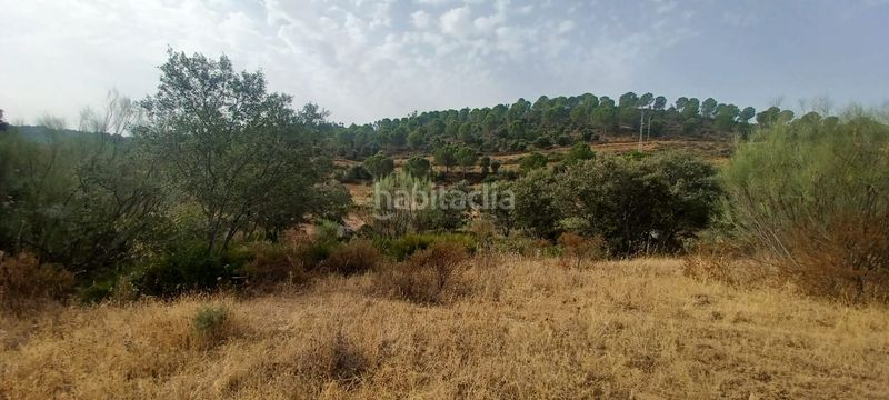 Foto e4b37aca-5977-4a5b-ba49-b15f23695f0d. Terreny residencial a Castillo de las Guardas (El)