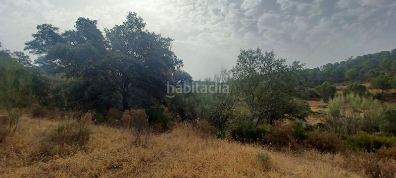 Foto e791a72b-9b80-4b5d-91b2-9b080ed5dbd5. Terreny residencial a Castillo de las Guardas (El)