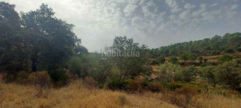 Foto ecd85713-53d8-421e-bc06-a9c25e20558b. Terreny residencial a Castillo de las Guardas (El)