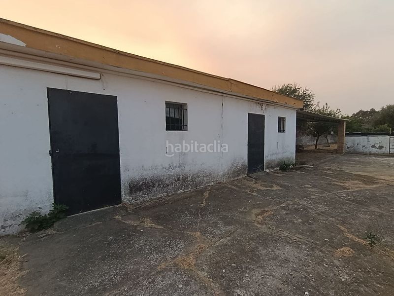 Foto a7004f65-a6ae-493a-a6b6-eb1c4bad6432. Casa amb piscina a Castilblanco de los Arroyos