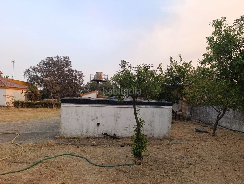 Foto fb852cd1-0598-4097-9ca6-f9416ecfba27. Casa amb piscina a Castilblanco de los Arroyos