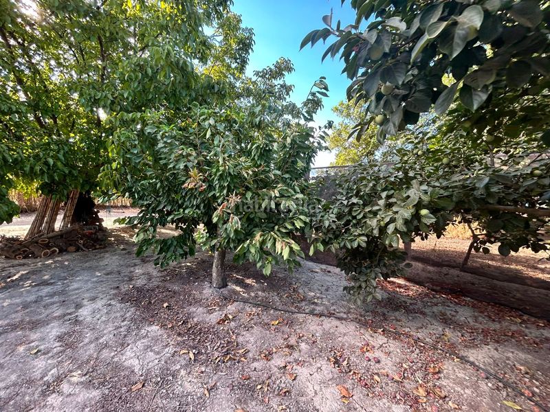 Foto 9b78a5a1-44d0-4754-bbcc-4bde64e9199b. Finca rústica a Fuente Vaqueros