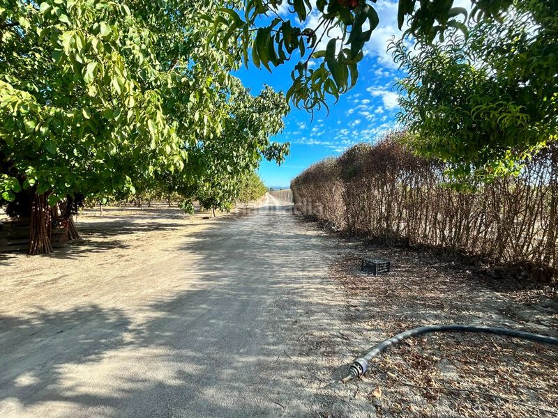 Foto e6a4733e-36a6-4c7f-ac4a-b9708d10fb33. Finca rústica a Fuente Vaqueros