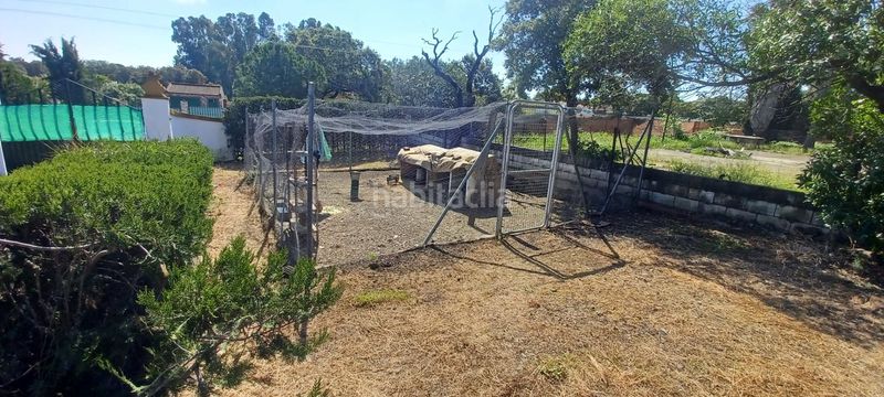 Foto 82f8d409-7da4-4c2d-ad7a-2d8068e9dda7. Casa amb piscina a Castilblanco de los Arroyos