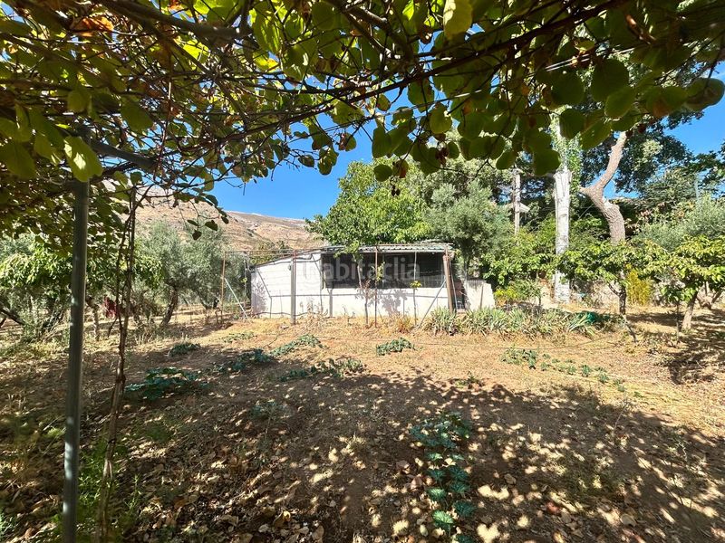 Foto 0df6a823-7acc-492e-805a-1282c3f1e545. Finca rústica a Cogollos de la Vega