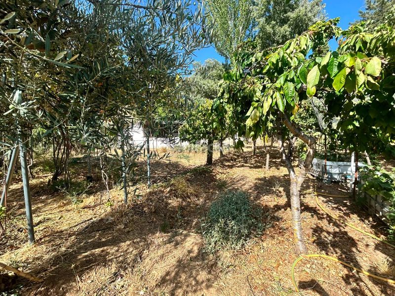 Foto 8ee63aa6-4ab8-4cc3-a2c0-38f838313dd0. Finca rústica a Cogollos de la Vega