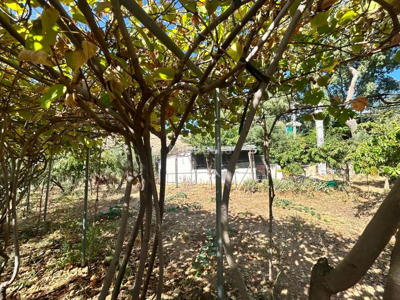 Foto b50ddeee-a922-4e48-9825-569cc9ff57a5. Finca rústica a Cogollos de la Vega