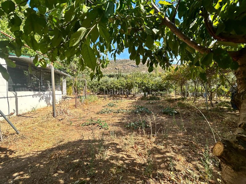 Foto dda05c8b-fe94-45fd-b835-ffe04a5b5ccf. Finca rústica a Cogollos de la Vega
