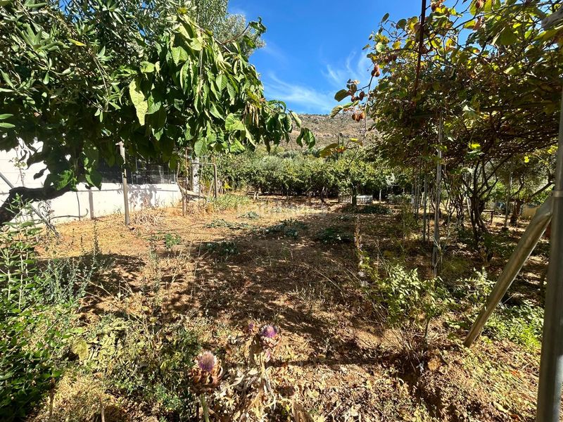 Foto fb478dd7-b10b-40fe-86d8-9971af3166e2. Finca rústica a Cogollos de la Vega