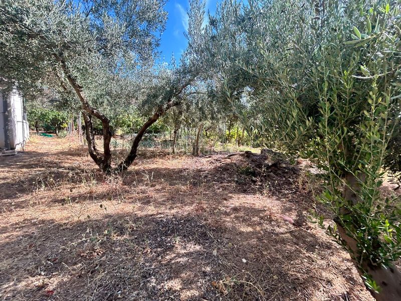 Foto fcc796f1-1524-4273-936d-fe6653e97319. Finca rústica a Cogollos de la Vega