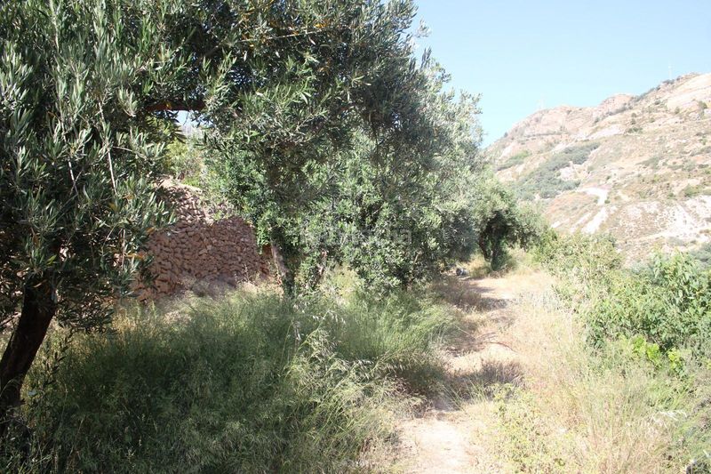 Foto b125ddc3-696f-4146-aada-01694902b36a. Terreno residencial parcela rustica en lanjaron granada en Lanjarón