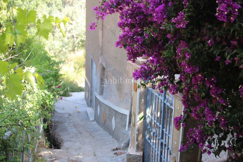 Foto d456b43e-9b69-43ed-a010-82465cb2bcfb. Terreno residencial parcela rustica en lanjaron granada en Lanjarón
