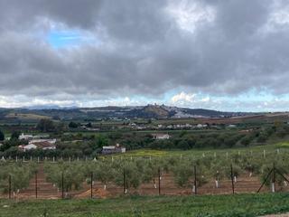 Finca rústica a Arcos de la Frontera. Finca ubicada en zona venta el pavo