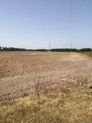 Finca rústica a Carretera cortes 4. En venta finca  de regadio